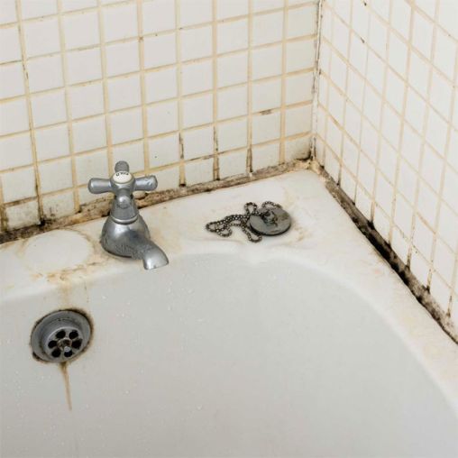 Does bathroom paint stop mould?