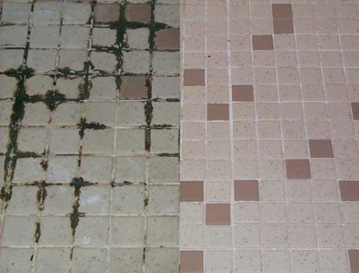 Mouldy Tiles