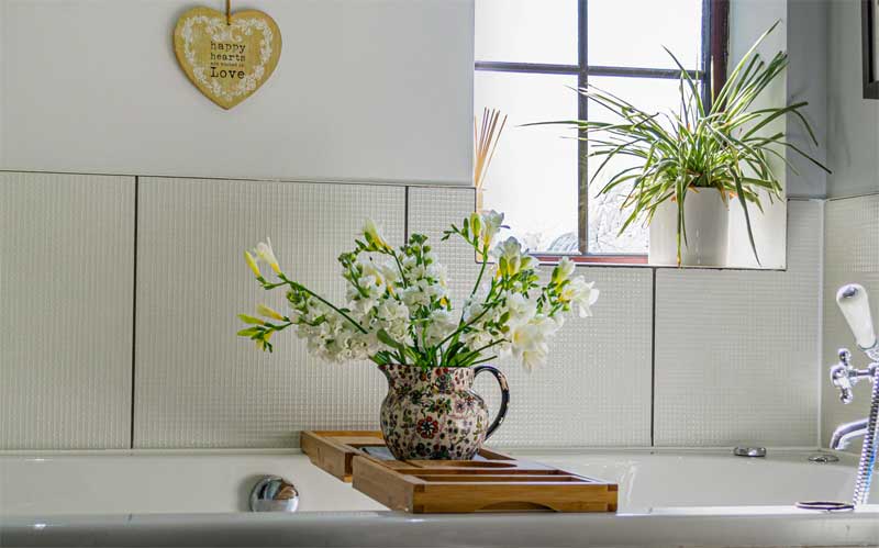 Some relaxing plants in a bathroom