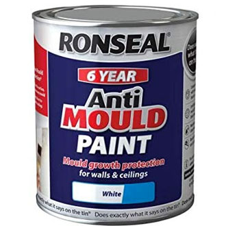 Anti mould bathroom paint